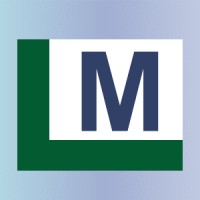 Lm Consultoria & Assessoria Para Empresa Automotiva