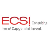 Ecsi Consulting