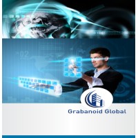 Grabanoid Global logo - Similar company to Prefix Solutions