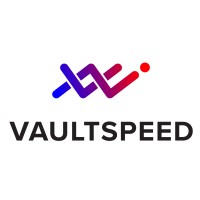 VaultSpeed logo - Similar company to Luy