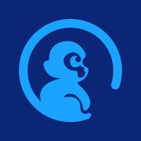 Blue Ape Software House logo - Similar company to Camss Group