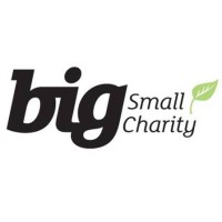 BigSmallCharity logo - Similar company to Caboodle Fundraising And Marketing