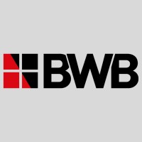 BWB Consulting Ltd logo - Similar company to Lucion Delta-Simons Ltd