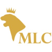 Mykonos Luxury Collection logo - Similar company to Vened Technical Projects