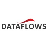 DataFlows logo - Similar company to Horeka By Roweb