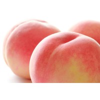 株式会社TAO logo - Similar company to Tao Inc.