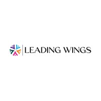 Leading Wings™️ logo - Similar company to Nigerian Air Force