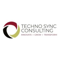 TechnoSync Consulting logo - Similar company to Techno Resource