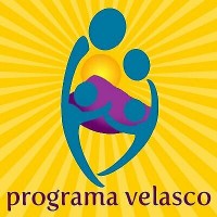 Programa Velasco logo - Similar company to Rfpgo.Ai