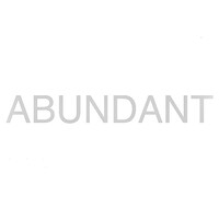 Abundant Consulting logo - Similar company to Xcite Marketing