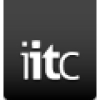 Independent It Management Consulting