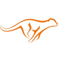 Acinonyx Web Agency logo - Similar company to Stat4Decision