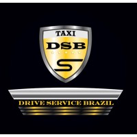 DRIVE SERVICE BRAZIL logo - Similar company to Medical Ald