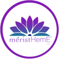 méristHemE logo - Similar company to Zen Sailing