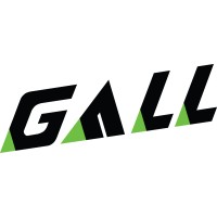 GALL Group logo - Similar company to Clients & Experts Consulting Gmbh