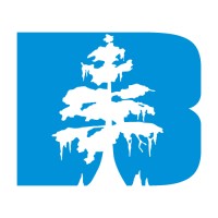 Blu Cypress Solutions logo - Similar company to Research Underwriters