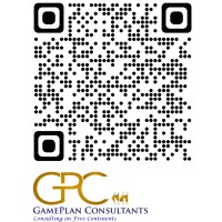 GamePlan Consultants logo - Similar company to Biz Analytics (Australia)
