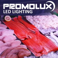 Promolux logo - Similar company to The Experimental Leader
