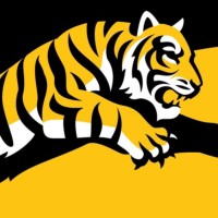 Tiger Teams logo - Similar company to Tiger Team Engineering (Tte)