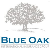 Blue Oak International Insurance Group logo - Similar company to Blueoak