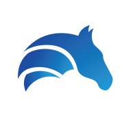 Blue Horse Analytics logo - Similar company to Blue Horse Tech Solution