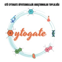 GTÜ CytoGate Biyoteknolojik Araştırmalar Topluluğu logo - Similar company to Netz