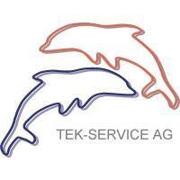 TEK Service AG logo - Similar company to Wye