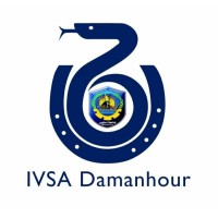 IVSA Damanhour logo - Similar company to Litespace English