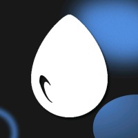 Driipa Foundation logo - Similar company to Corestreamng