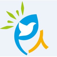 Pacific Ace logo - Similar company to Nxtstory Studios
