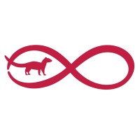 Ihneumon Connectivity logo - Similar company to Hvar Away