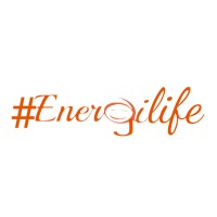 Energylife logo - Similar company to Luis Fernandez