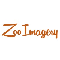 Zooimagery logo - Similar company to Dream Spas