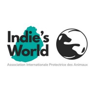 Indie's World logo - Similar company to Paws Mauritius
