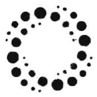 Capital Import Export logo - Similar company to Sysvit