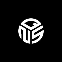 QNS Advisors logo - Similar company to Litso Pixels