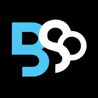 Blockskillo logo - Similar company to Cryptocub