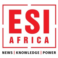 ESI Africa logo - Similar company to Wavelength Ips