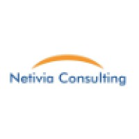 Netivia Consulting logo - Similar company to Fyrsoft