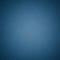 Independent Consultant