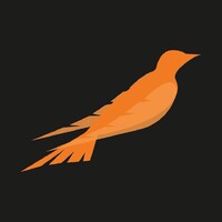 BlackBird Aerodesign logo - Similar company to In Junior - Empresa Júnior De Computação Da Universidade Federal Fluminense