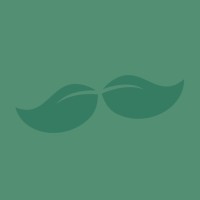 Burgemeester van Buiten logo - Similar company to Streamdoctors