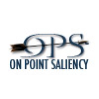 On Point Saliency