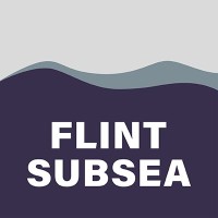 Flint Subsea - Emergency Quick Disconnects logo - Similar company to Kw Group Ltd