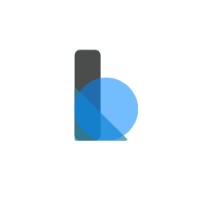 BOTR solutions logo - Similar company to Dysoftech