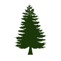 Conifer Technologies logo - Similar company to Fidoalert