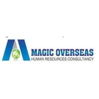 Magic Overseas HR Consultancy logo - Similar company to Integrated Standard Company