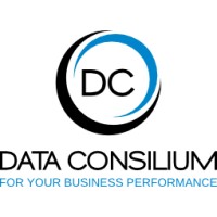 DATA CONSILIUM logo - Similar company to Val D'Allier Interim