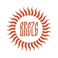 Brezg Studio logo - Similar company to Assistagro Llc