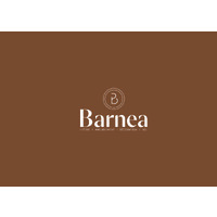 BARNEA logo - Similar company to Materials Consultancy